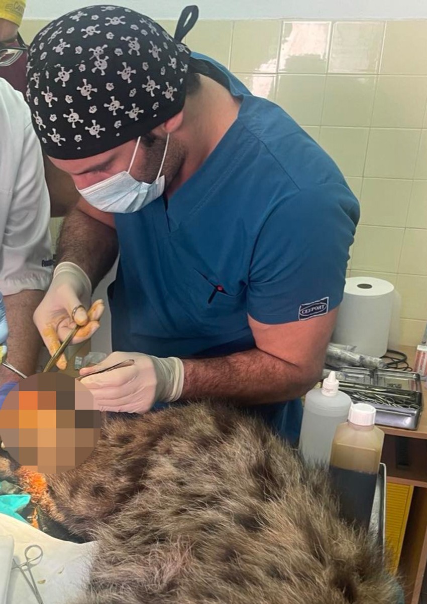 dr Vuk Aleksić operacija hijene