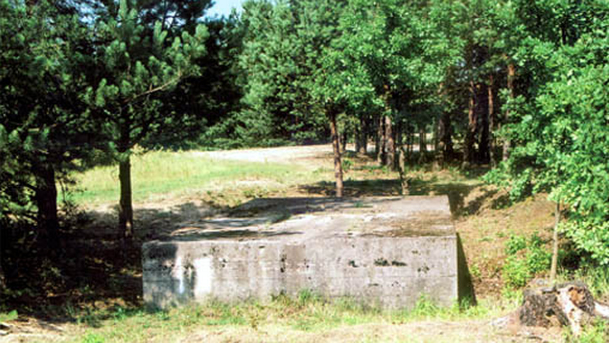 Kilka tysięcy turystów odwiedziło od sierpnia "Park historyczny Blizna" w gminie Ostrów w województwie podkarpackim. W tym miejscu od listopada 1943 do lipca 1944 roku Niemcy prowadzili doświadczenia nad rakietami V-1, sterowanymi drogą radiową, a następnie - V-2, napędzanymi silnikami odrzutowymi - podało Radio Rzeszów.