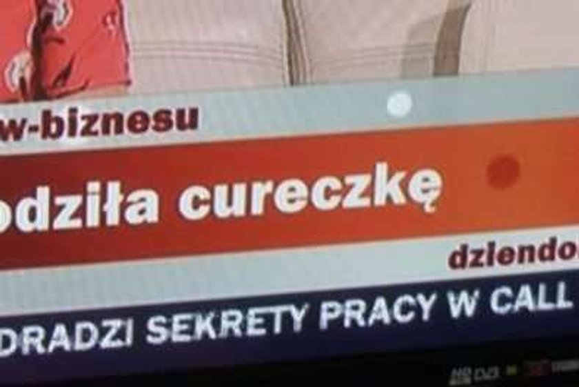 Byk na pasku w "Dzień dobry TVN". Mocny?