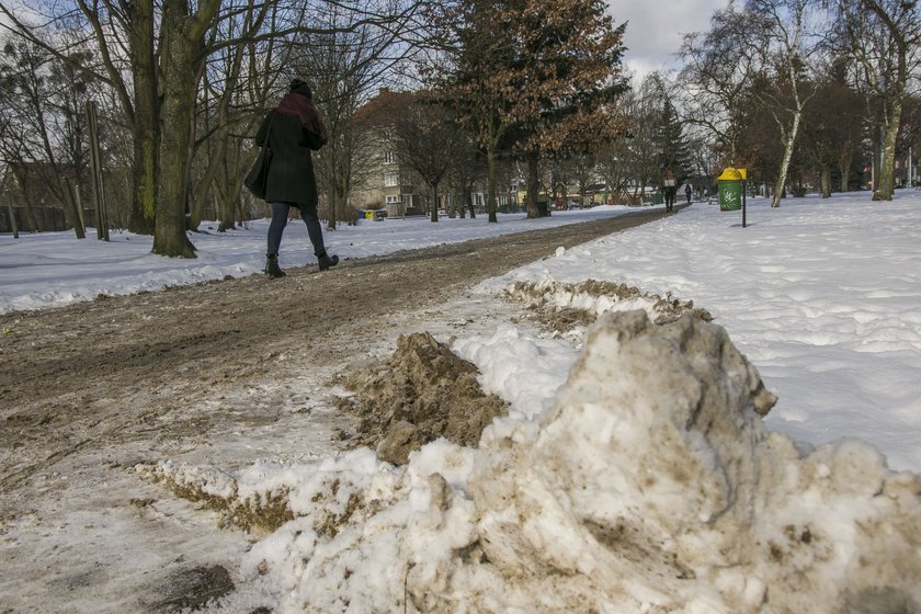 Na odśnieżanie w Gdańsku idą miliony