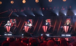 Znay jest już cały skład jury 8. edycji "The Voice od Poland"