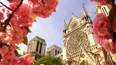 Tajemnice katedry Notre Dame