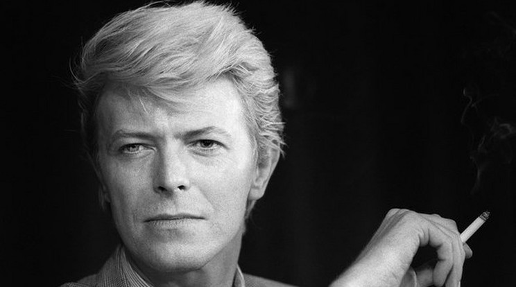 David Bowie 69 évesen hunyt el / Fotó: AFP