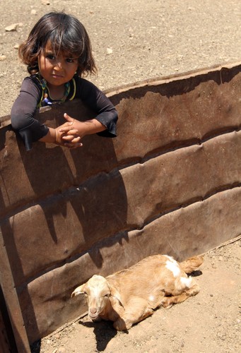 Dzieci wypędzone przez żołnierzy