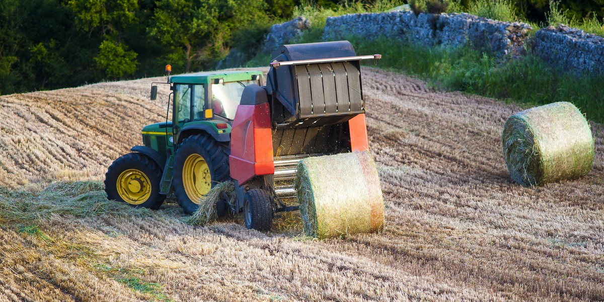 Mężczyzna nie wracał do domu. Na polu znaleziono jego ciało. Makabra w Polskiej Cerekwi