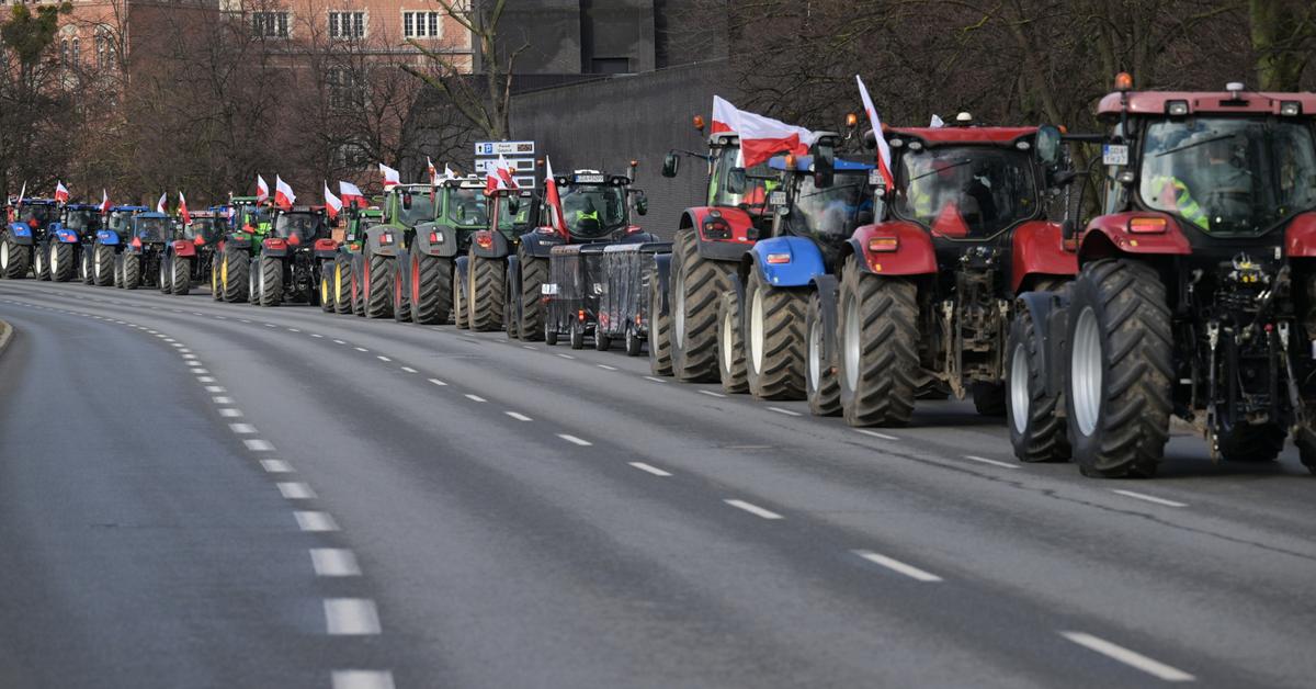  Dorohusk, Medyka, Poznań, Szczecin, Gdańsk, Olsztyn. Tak protestowali rolnicy GALERIA