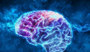 Kleszczowe zapalenie mózgu - jak leczyć KZM?
