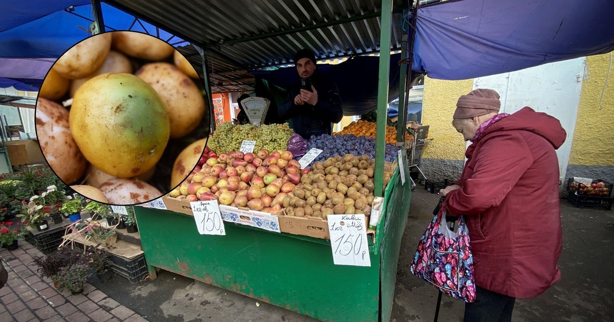"Niewidzialna katastrofa". Jak ziemniaczany kryzys ujawnił skalę problemów w Rosji