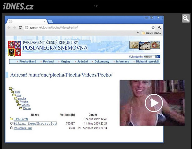 Szukasz posła, a dostajesz porno! Zawstydzająca wpadka czeskiego parlamentu