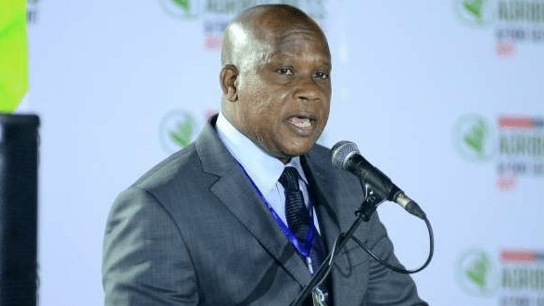 Aliyu has been accused of grand scale theft and living large (Sun)