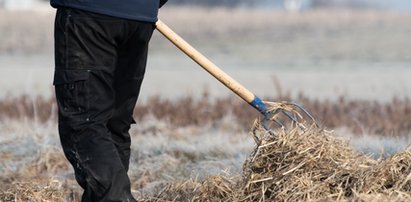 Niezwykłe znalezisko w pobliżu Kraśnika. Rolnik natrafił na to na polu!