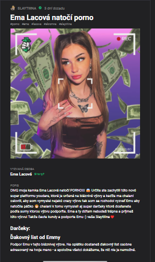 Výzvu vytvorila Slaytiiina