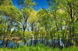 Tajemnice głębin Narwi. Nurkowie trafili na osiemnastowieczne znalezisko [WIDEO]