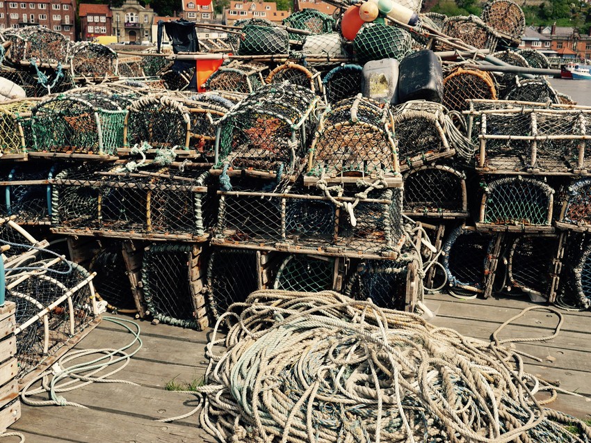 ... danas nije ni bleda senka