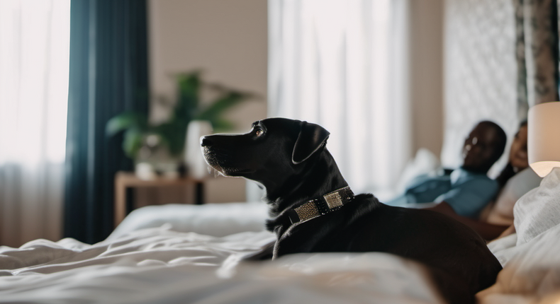 A couple in the bedroom and their dog lying in bed