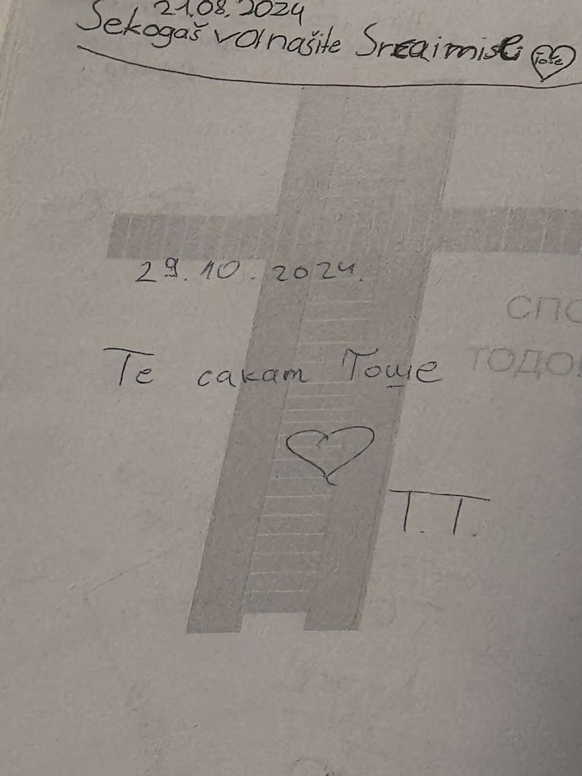 Tea Tairović u kući Tošeta Proeskog