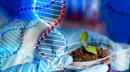 Trudny QUIZ z biologii. Licealista da radę, a Ty? Dwa pytania są dość proste