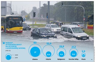 Zielone miasta czy zielony PR. Samorządy szukają skutecznych rozwiązań do walki z ekstremami pogodowymi