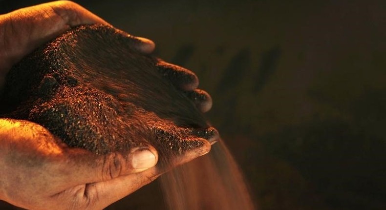 A worker poses with a handful of nickel ore at the nickel mining factory of PT Vale Tbk, near Sorowako, Indonesia's Sulawesi island, January 8, 2014.  REUTERS/Yusuf Ahmad