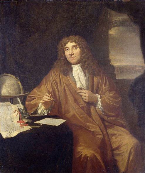 Antoni van Leeuwenhoek w 1679 r. opisał wygląd kryształów kwasu moczowego pod mikroskopem