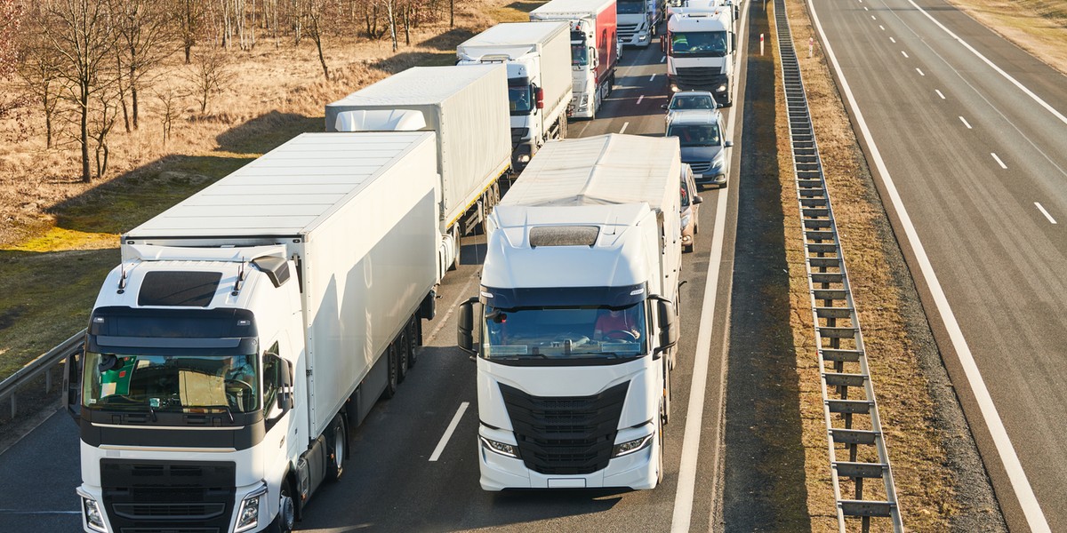 Z Polski Niemcy ograniczyli import tylko nieznacznie w porównaniu z innymi krajami