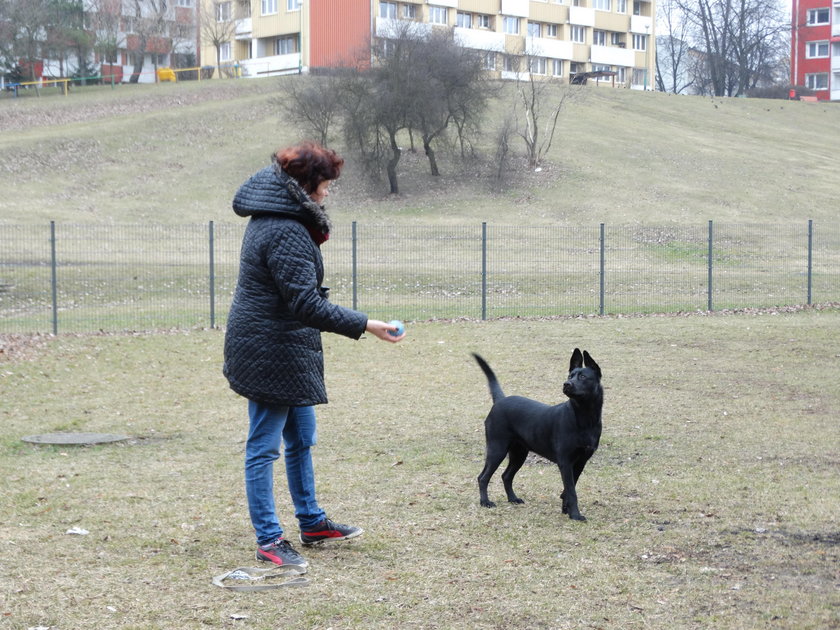 Krystyna Błach z suczką Jumą bawią się na wybiegu dla psów 