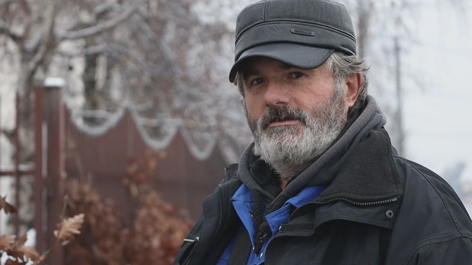 Kruševac  prodaja badnjaka