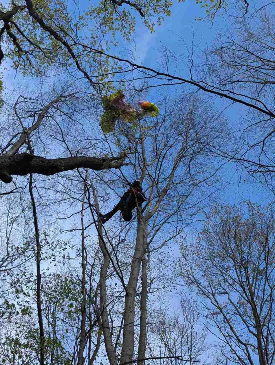 Akcija spasavanja pilota paraglajdera