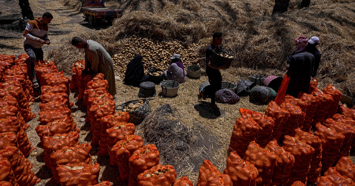 Egypt secures $1.5bn financing deal as Middle East tensions threaten food supplies