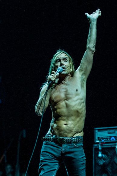 OFF Festival 2012 - Iggy Pop (fot. Monika Stolarska / Onet)