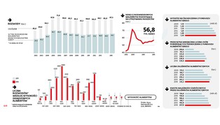 Nie ma sposobu na alimenciarzy. Ich miliardowe długi wciąż płaci państwo