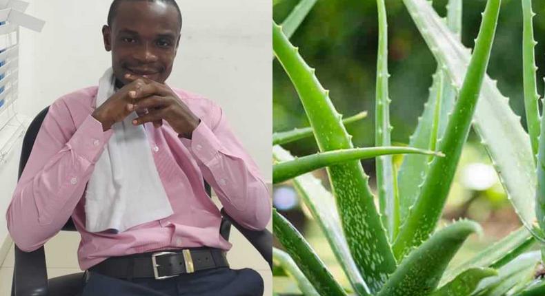 I have the cure for Coronavirus; it’s Aloe Vera - Samuel Gyimah claims