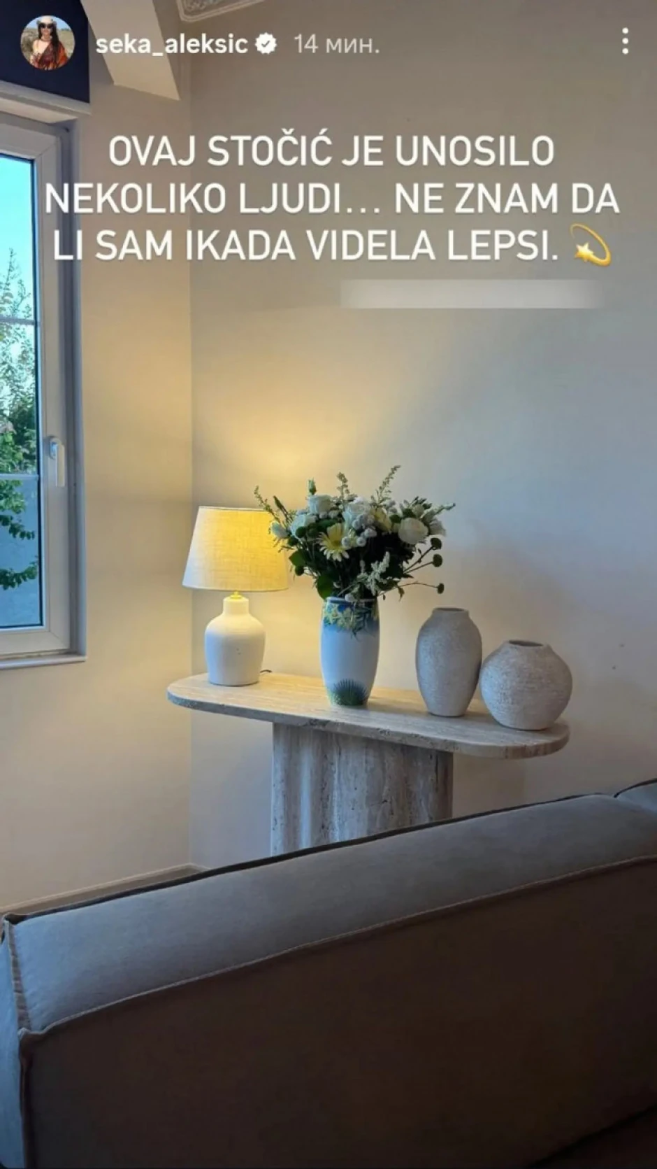 Novi Sekin dnevni boravak