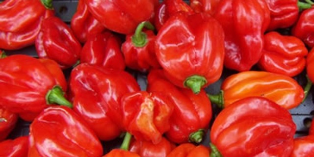 Pepper has a lot of nutritional value [Mile12]