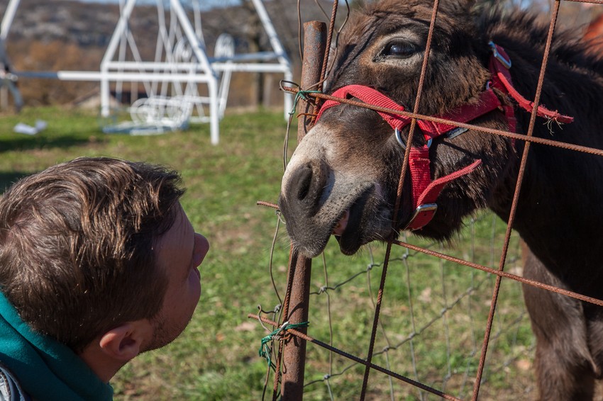 Potrebna im je i pažnja i nežnost i umeju da uzvrate