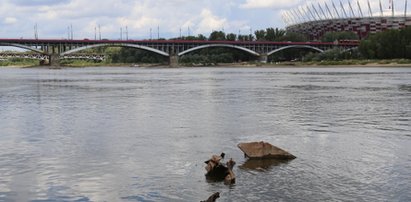 Bajka wynurzyła się z Wisły?