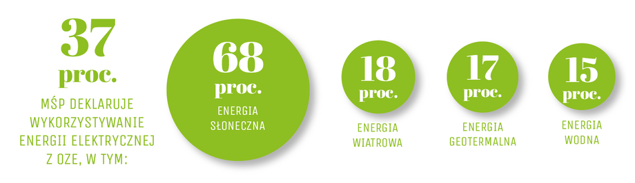 Przejście na zielone źródła energii nie jest już wyborem. To konieczność, jeśli polskie firmy chcą przetrwać.