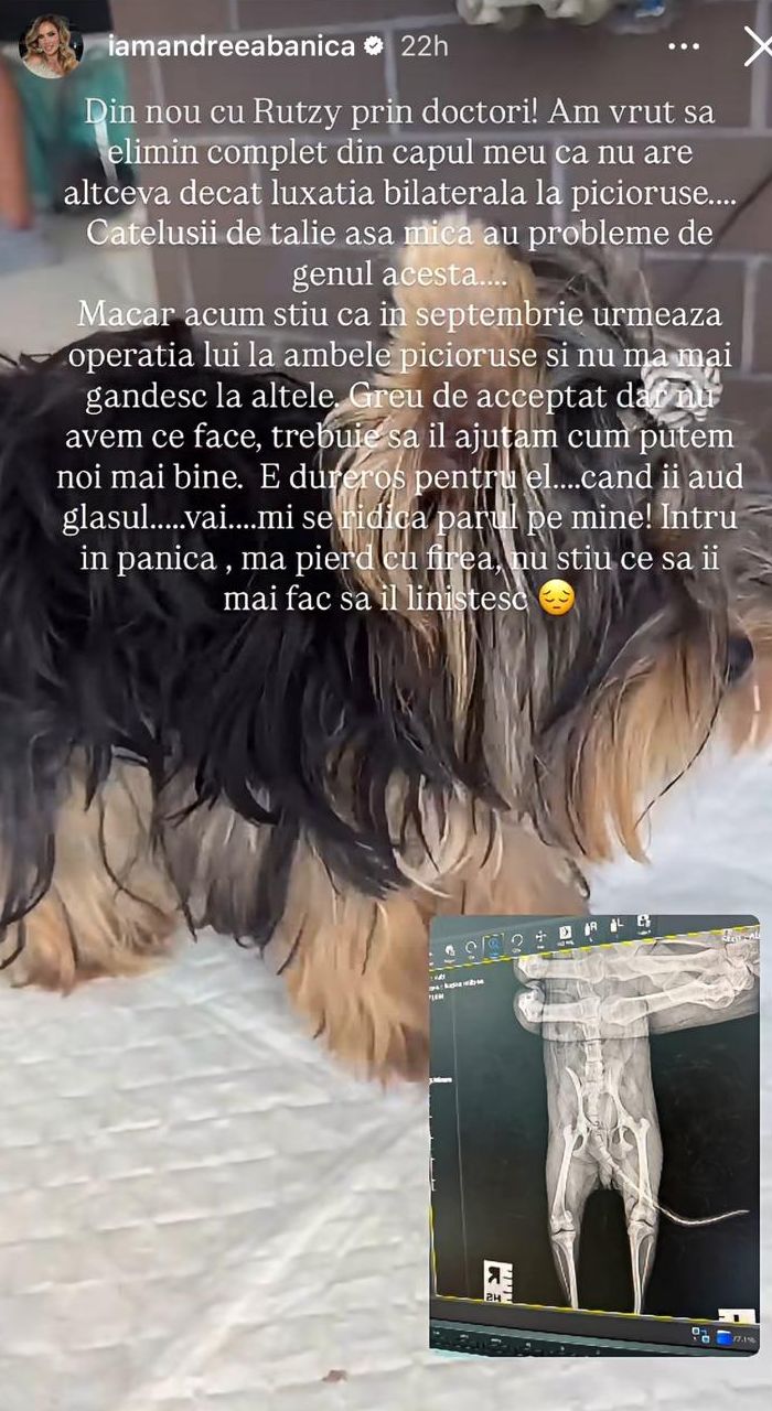 Diagnosticul primit de Andreea Bănică pentru cățelul Rutzy: „Urmează operația la ambele piciorușe"