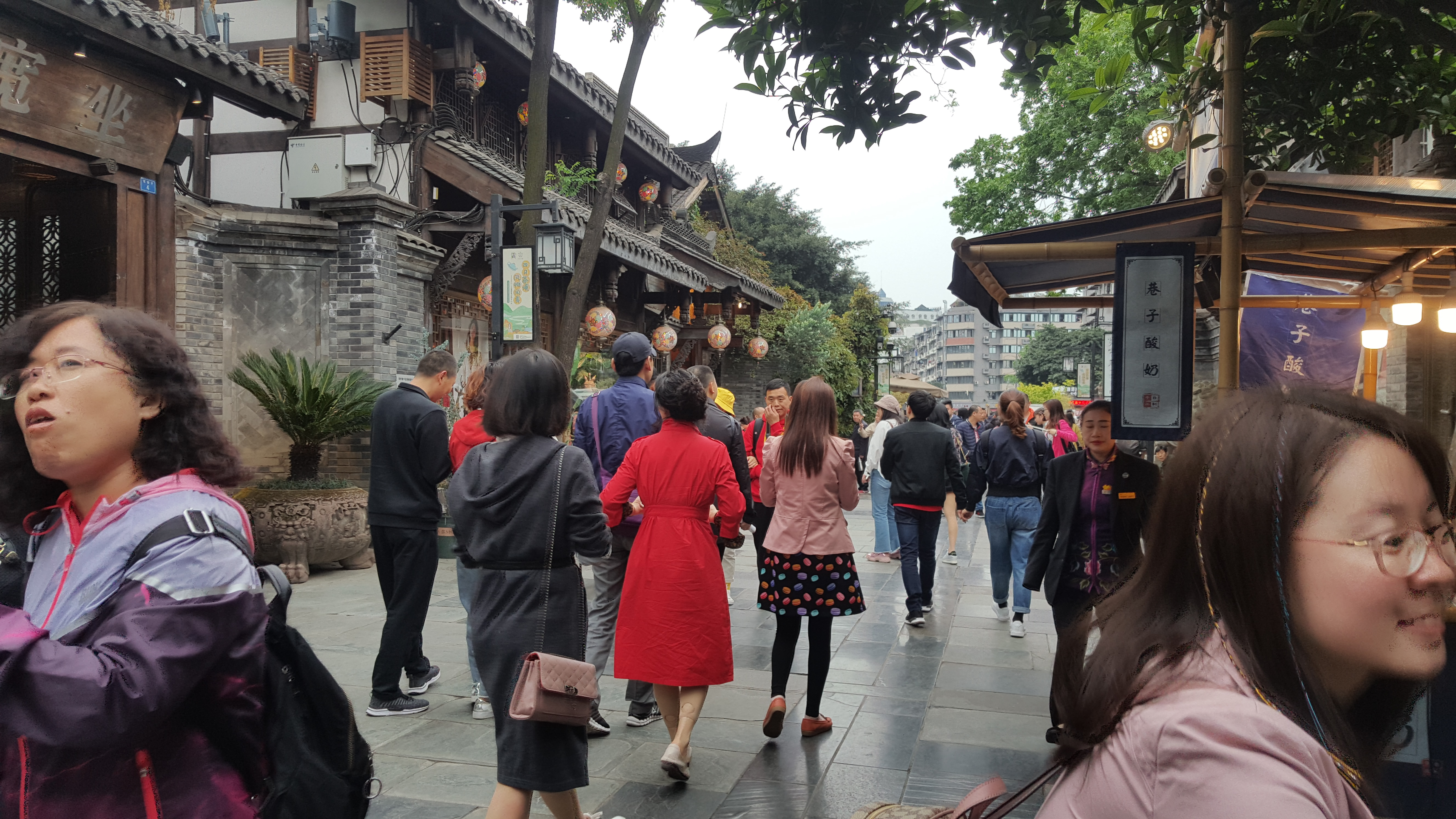 CORESPONDENȚĂ DIN SICHUAN și BEIJING, ULTIMUL CAPITOL | Scriitoarea Doina Ruști, despre plimbarea pe strada unuia dintre cei mai importanți poeți chinezi și excursia la Marele Zid
