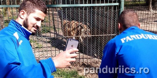 Edi Iordănescu şi-a dus jucătorii la Zoo. "Nu pierdem" / FOTO&VIDEO