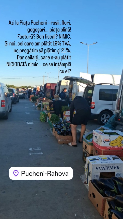 Dana Budeanu, mesaj acid la adresa Dianei Șucu, care s-a plâns că n-a primit bon fiscal în Piața Pucheni: „Acolo sunt banii de taxe, amețito?!”