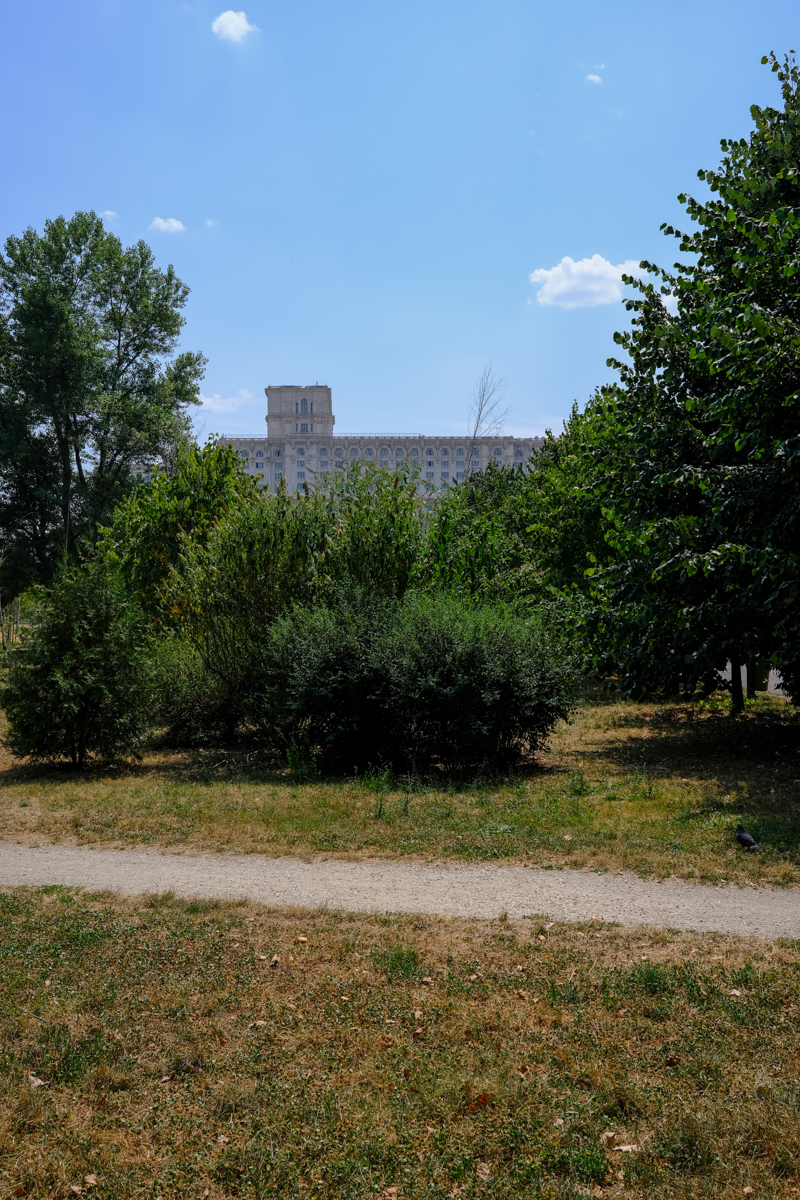 Concesionarea Parcului Izvor, între „festivalizarea orașului” și „nu-l distrugem, îl facem mai frumos”