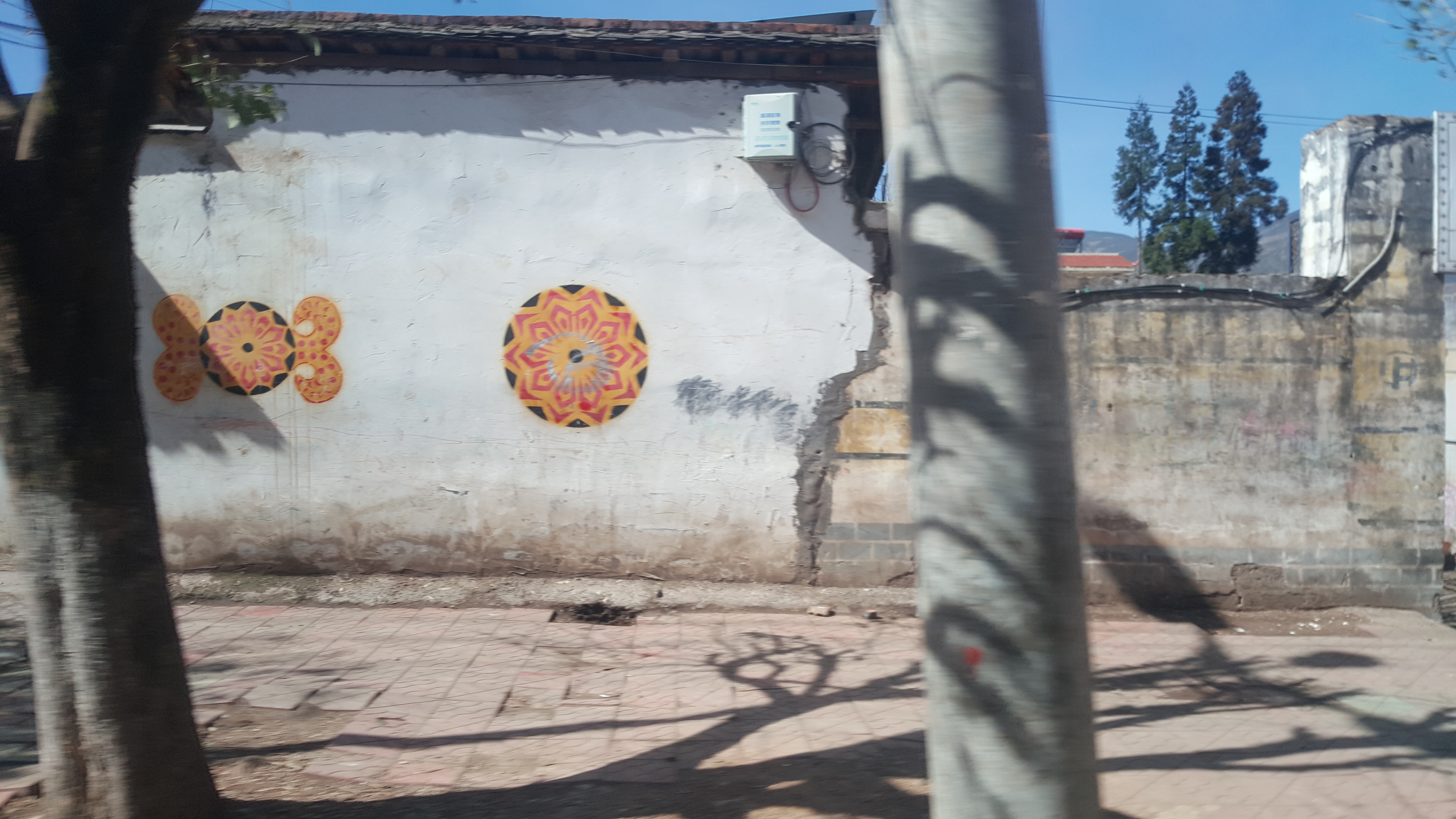 CORESPONDENȚĂ DIN SICHUAN, CAPITOLUL 1 | Scriitoarea Doina Ruști, despre primul contact cu uimitorul ținut Sichuan