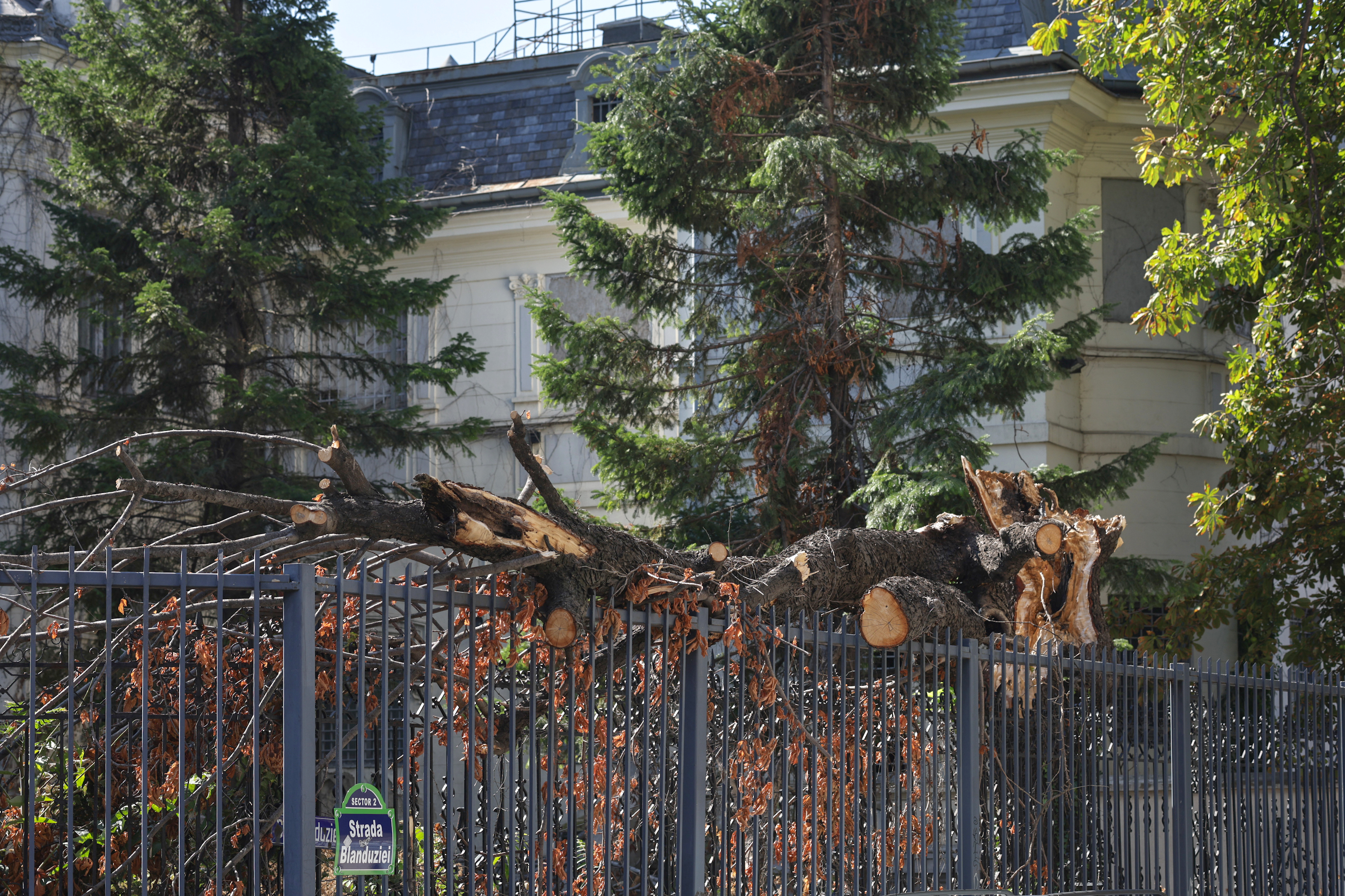 Palatul Maurice Blank
