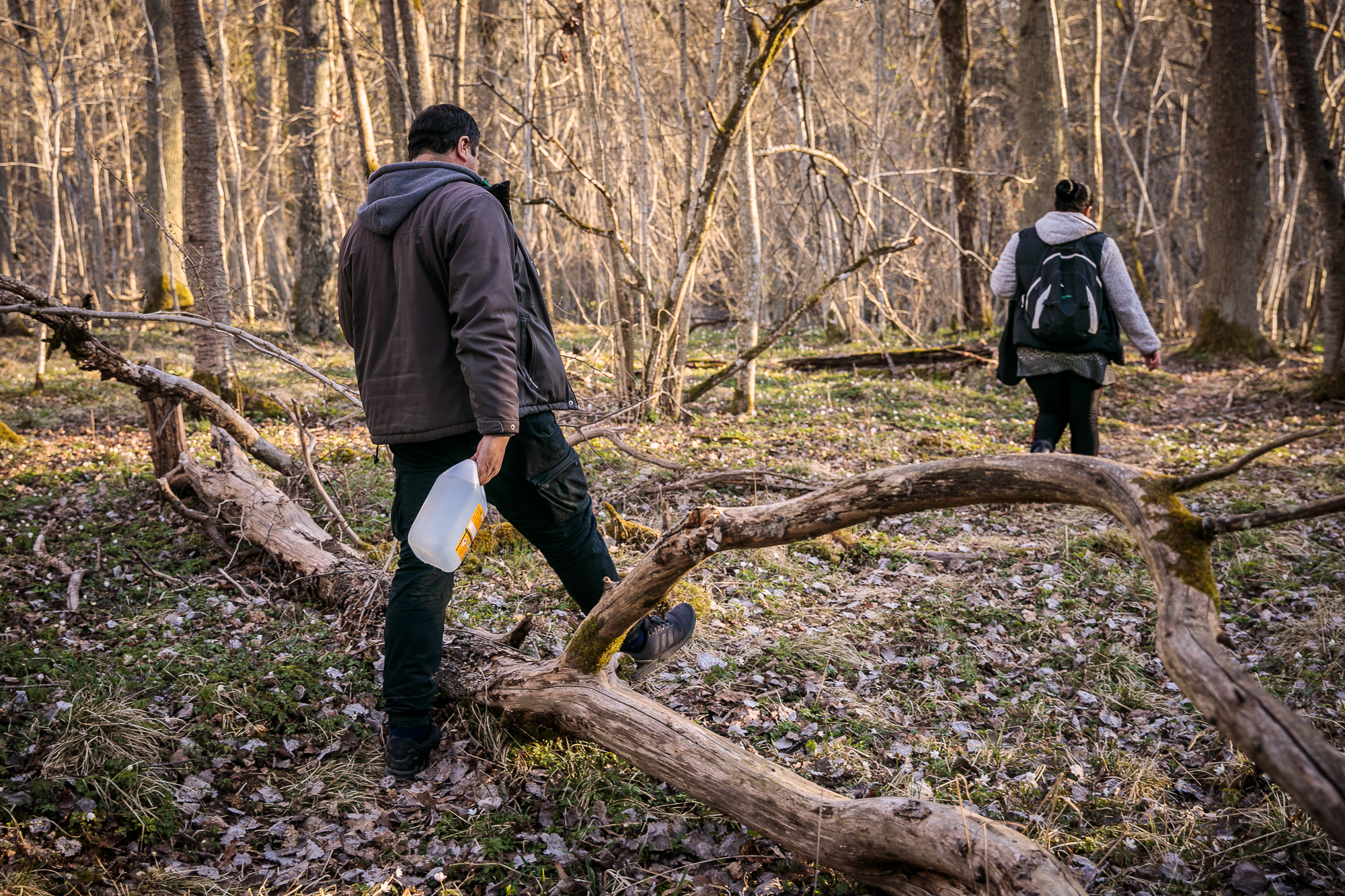 În căutarea lui Gică - românul omorât într-un parc din Huskvarna, Suedia, de doi adolescenți. Paște în pădure cu cei mai nevoiași dintre compatrioți (1)