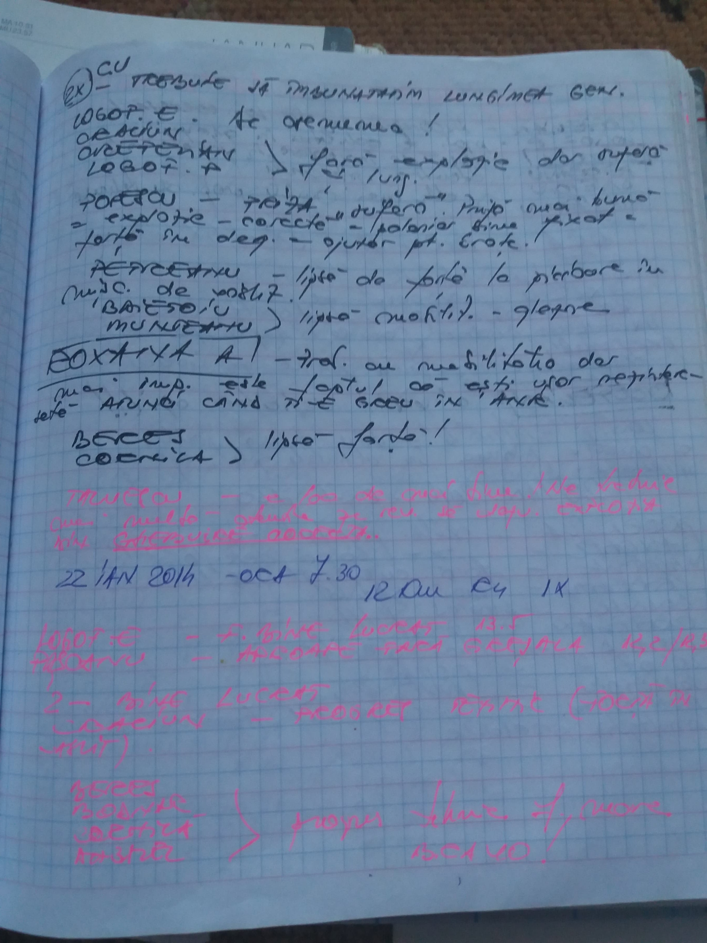 Am aflat dieta de la canotaj. ”Mâncăm mai puțin”! Caietele senzaționale ale antrenoarei Mariana Maliș conțin secretele campioanelor. Povești fabuloase dezvăluite în premieră / GALERIE FOTO