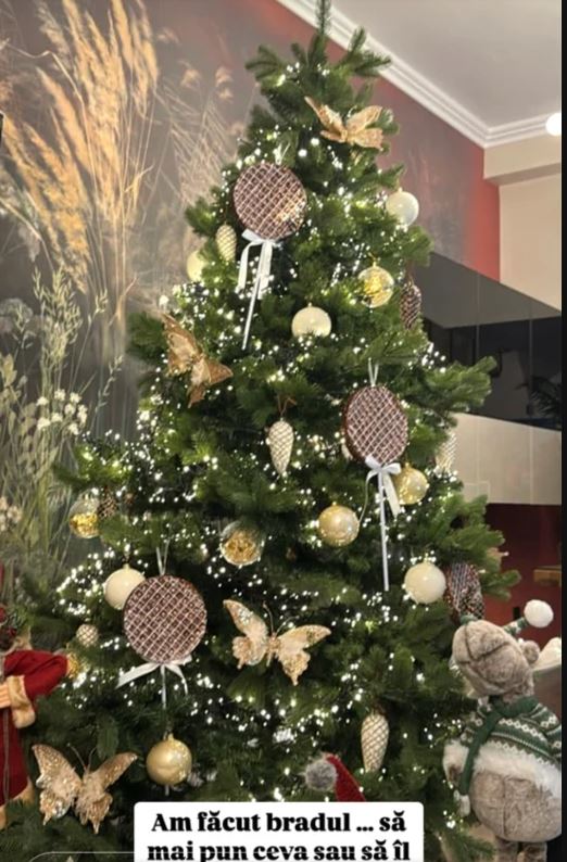 Imagini din casa Cristinei Șișcanu, decorată de Crăciun. Mădălin Ionescu nu a fost încântat de brad: „L-ar vrea mai încărcat, mai bogat”