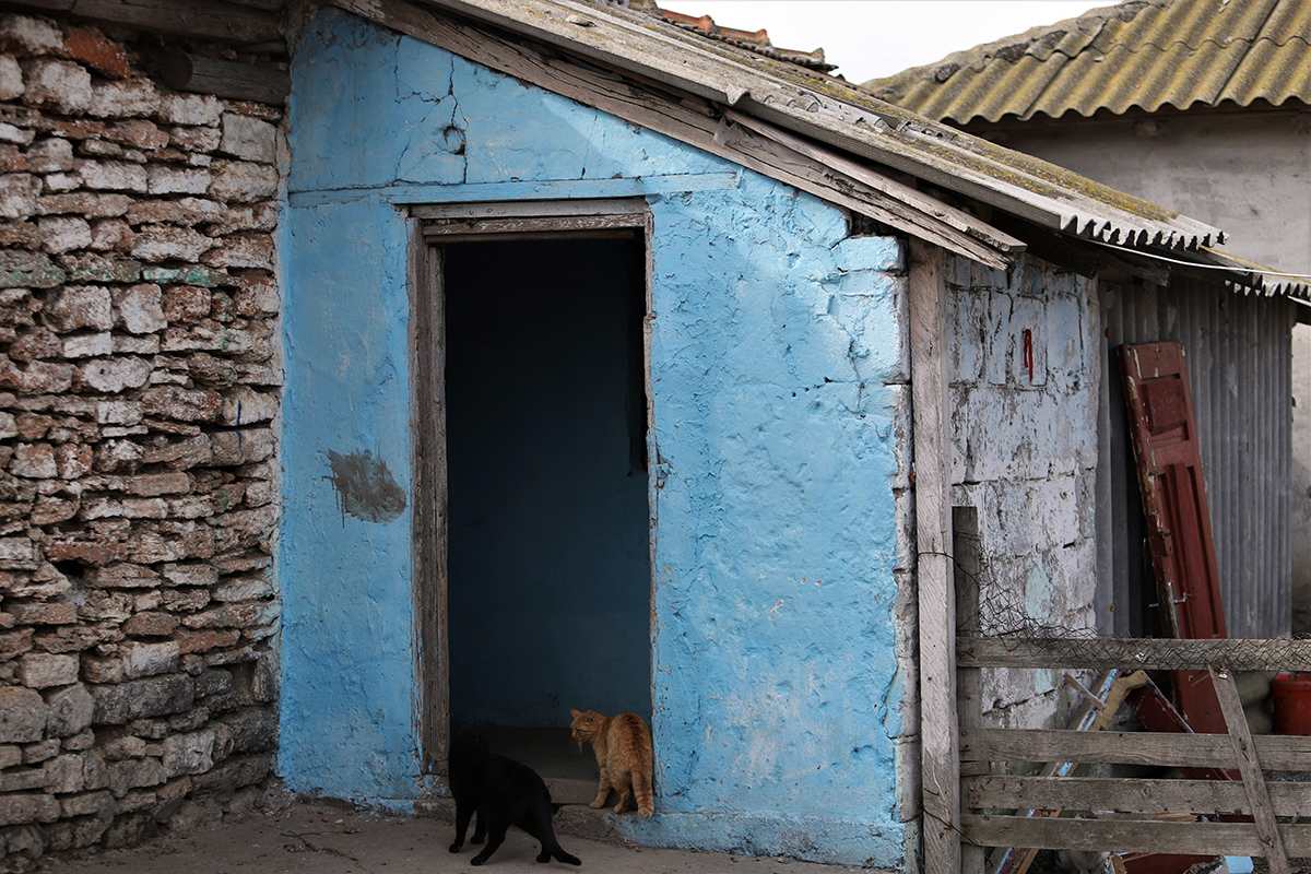 REPORTAJ. Peste 20 de familii dintr-un sat de lângă Mangalia plătesc chirie primăriei pentru că stau în clădirile fostului IAS. Unele au fost grajduri. „Am crescut cinci copii aici!”