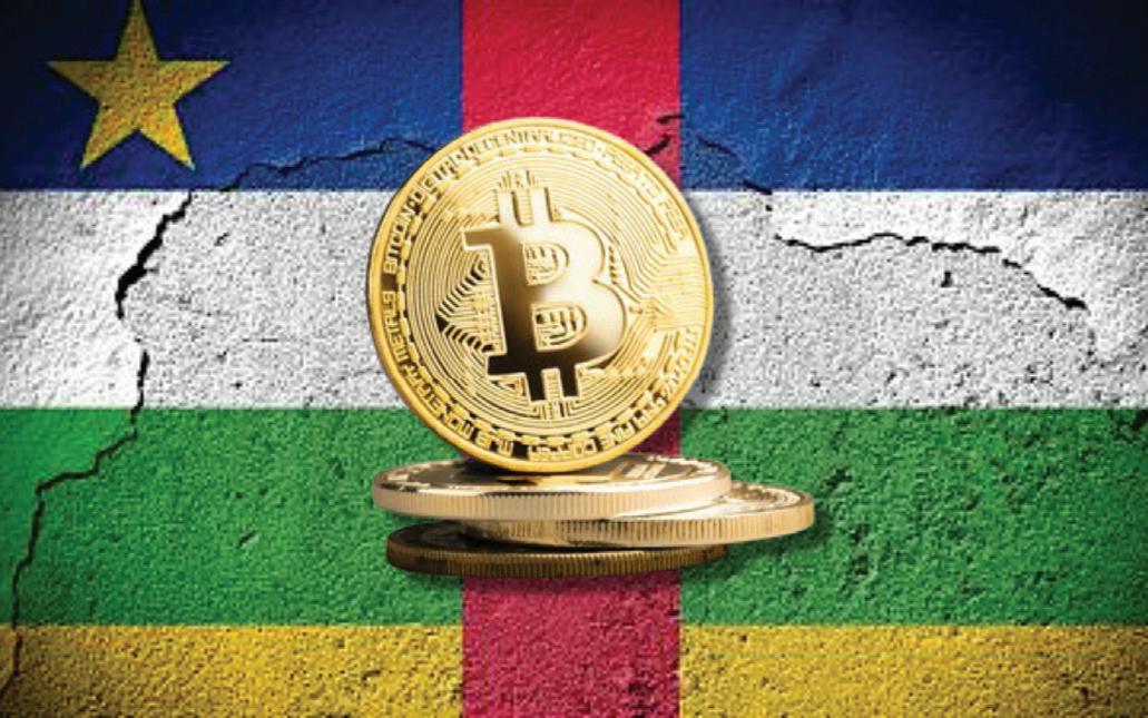 CAR, Africa’s first Bitcoin country, faces state asset risks from opaque crypto schemes