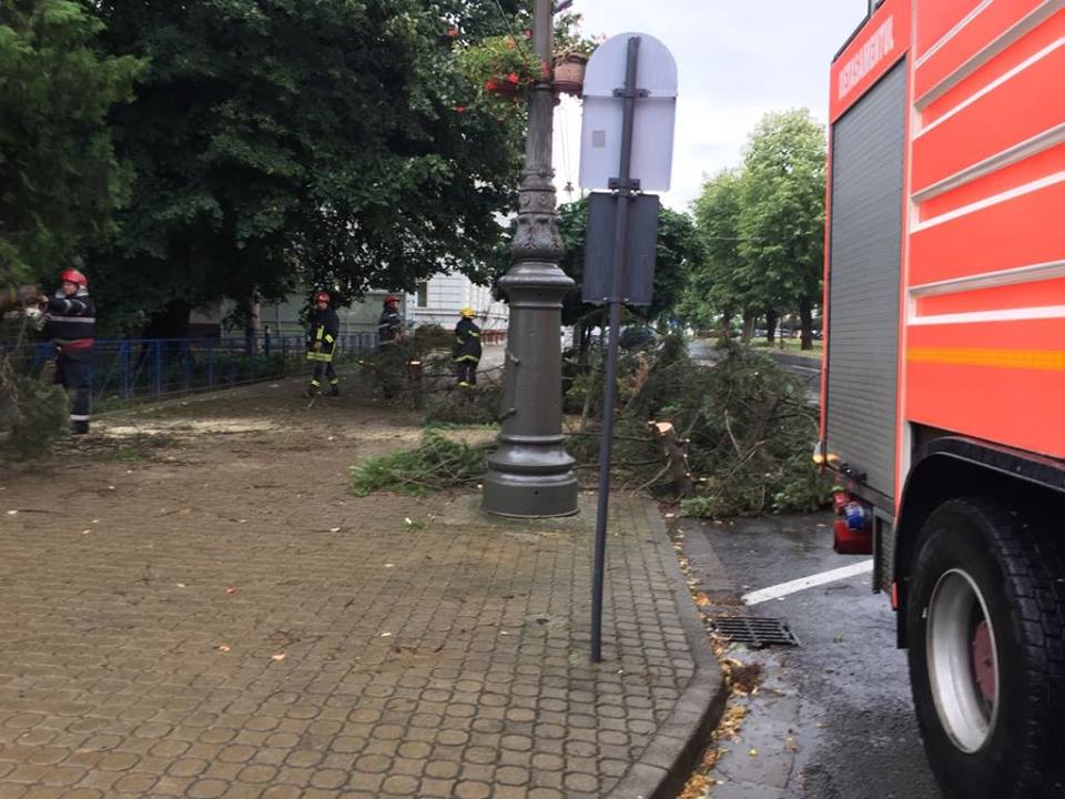 FOTO / Acoperişuri smulse şi copaci doborâţi de vânt, la Arad. S-a înregistrat și un deces